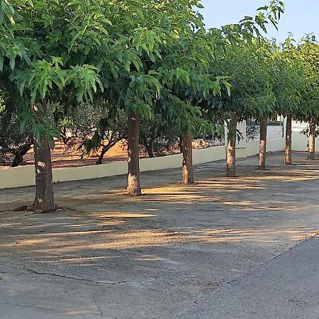 Hotel Takis Agios Georgios  Εξωτερικό φωτογραφία