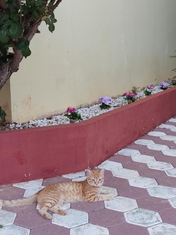 Hotel Takis Agios Georgios  Εξωτερικό φωτογραφία